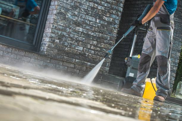 Best Animal Enclosure Cleaning  in Melbourne, FL