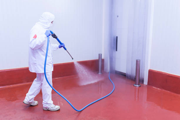 Best Pre-Holiday Cleaning  in Melbourne, FL